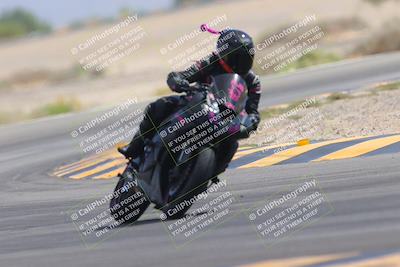 media/Sep-30-2023-SoCal Trackdays (Sat) [[636657bffb]]/Turn 15 (1120am)/